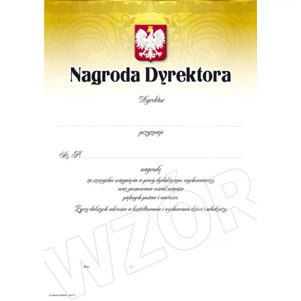       Nagroda Dyrektora DP-271