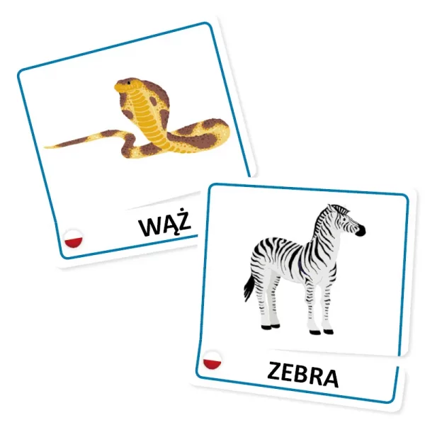 Fiszki Zwierzęta Dzikie (karty obrazkowe Flashcards)
