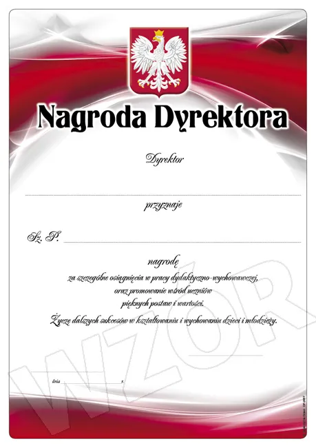 Dyplom Nagroda Dyrektora DP-205