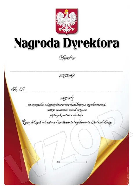 Dyplom Nagroda Dyrektora DP-208