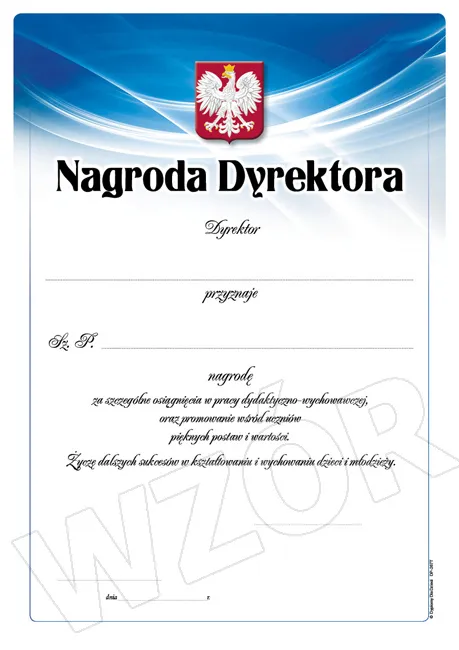 Dyplom Nagroda Dyrektora DP-267