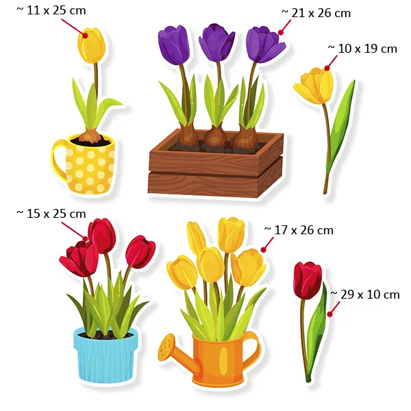 Rozmiar Dekoracje do przedszkola: Tulipany, D-292