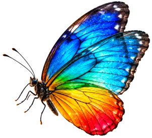 'Dekoracja
