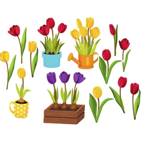 Dekoracja Szkolna – Tulipany (Wiosna)